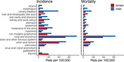 Genome-Wide Sex and Gender Differences in Cancer